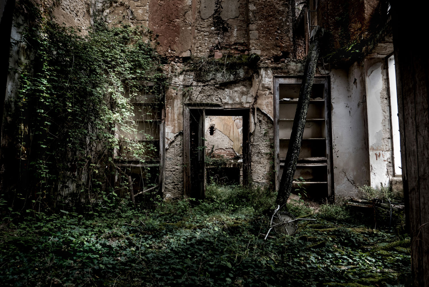 La bibliothèque verte