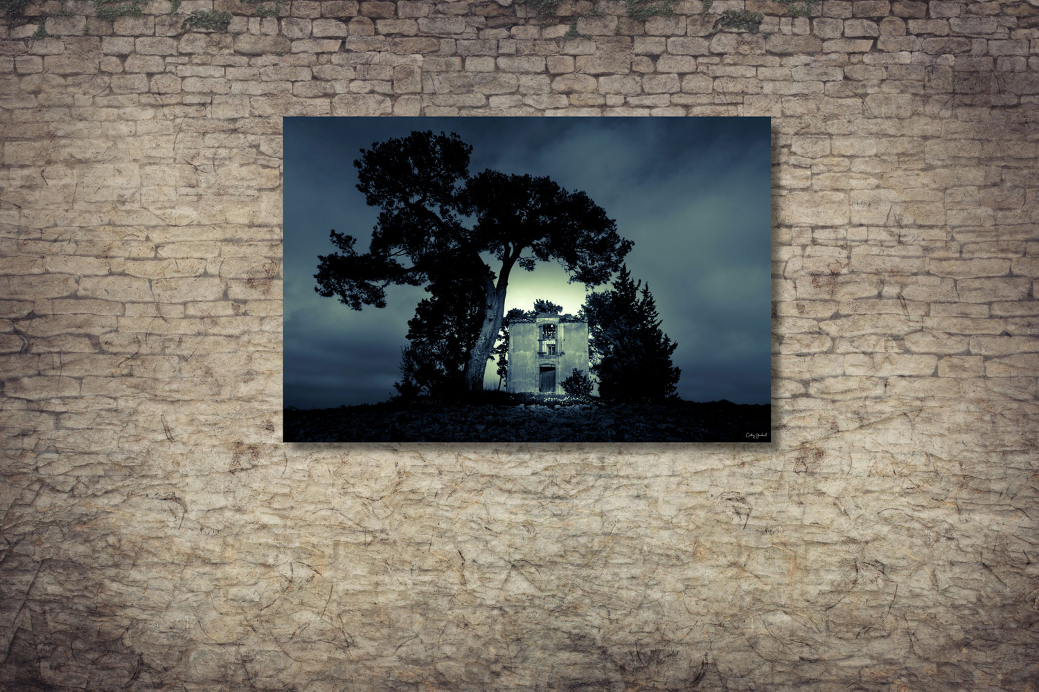 Le grand arbre – Image 2